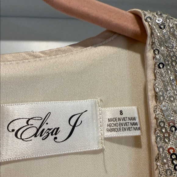 NWT Eliza J Silver Sequin Balloon Sleeve Skater Dress Size 8 New Years Party - Picture 12 of 15